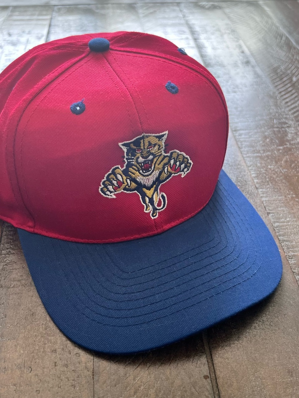 Florida Panthers Embroidered Snap Back Hat NHL Hockey